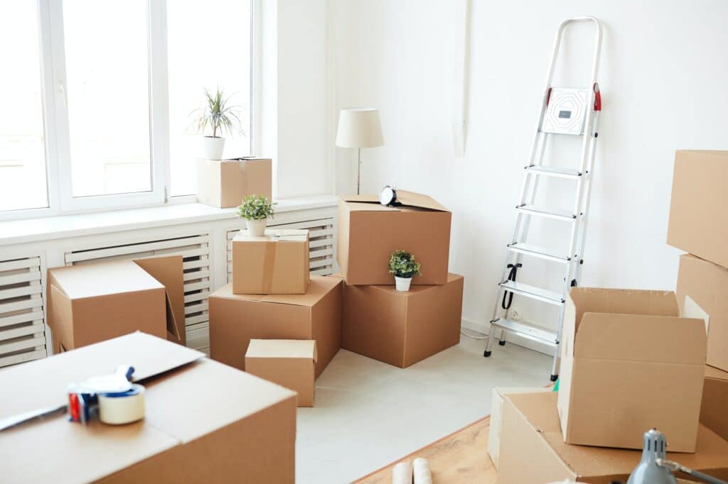préavis en colocation